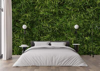 Fresh Green Grass Texture - Natural Lawn Background - seamless pattern Wall mural