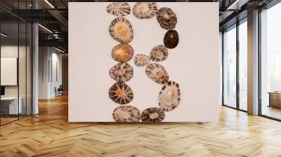 B letter made with seashells on white background Wall mural