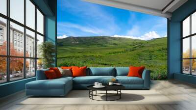 Beautiful lush green hills on a bright blue sunny day with white clouds above, windows screensaver like landscape in Denali national park, Alaska Wall mural