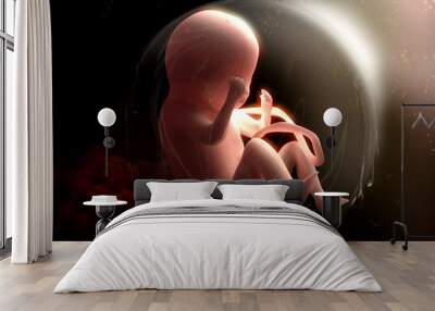 Foetus Wall mural