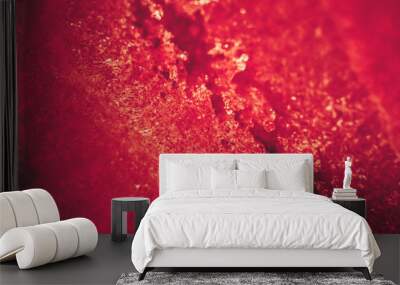 closeup of red fresh fruits Wall mural