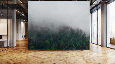 Wald in Nebel bei Regen Wall mural