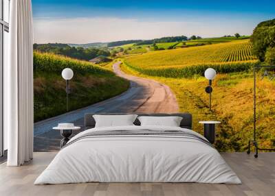 Farm fields along a country road in rural York County, Pennsylva Wall mural