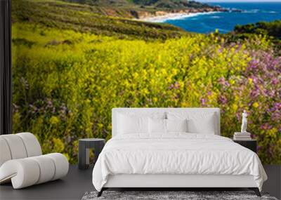 Flowers and view of the Pacific Coast at Garrapata State Park, C Wall mural