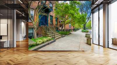 Houses along Court Street near Wooster Square, in New Haven, Connecticut. Wall mural