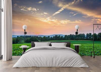 Incredible sunset sky over the Piegon Hills and farm fields, nea Wall mural