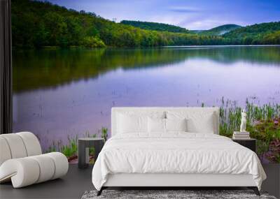 Long exposure of Long Pine Run Reservoir in Michaux State Forest Wall mural