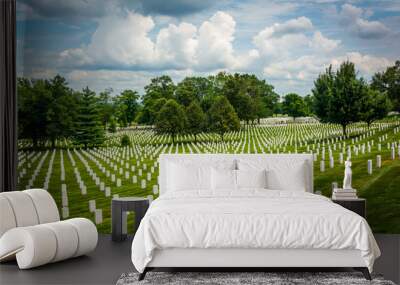 Rows of graves at the Arlington National Cemetery, in Arlington, Wall mural