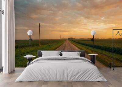 Sunrise over a farm road and corn fields, near Route 66 in Towanda, Illinois Wall mural