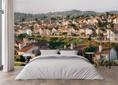 View of houses and hills from Hilltop Park in Dana Point, Orange County, California Wall mural