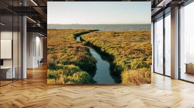 Wetlands at Baylands Nature Preserve, in Palo Alto, California Wall mural