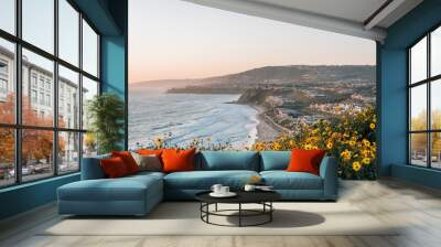 Yellow flowers and view of Strand Beach from Dana Point Headlands Conservation Area, in Dana Point, Orange County, California Wall mural