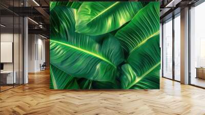 close-up nature view of tropical green leaves and palms background. Flat lay, dark nature concept Wall mural