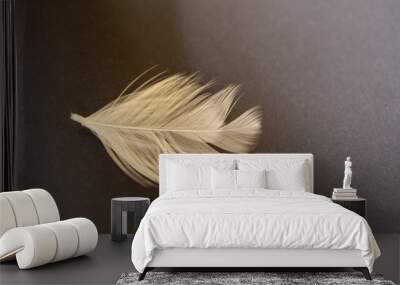 feather Wall mural