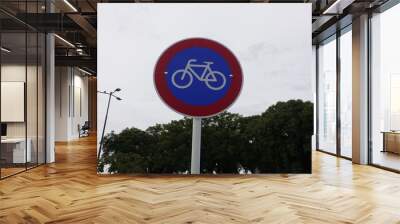 Bike lane sign in Buenos Aires, Argentina. Wall mural