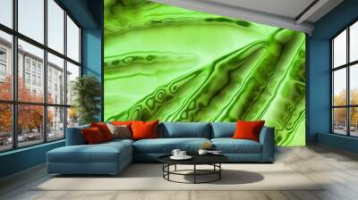 abstract green background Wall mural