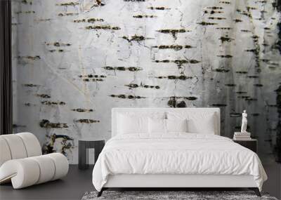 birch tree bark background Wall mural