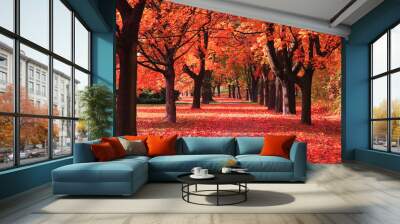 color autumn forest Wall mural