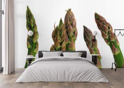 green asparagus isolated Wall mural