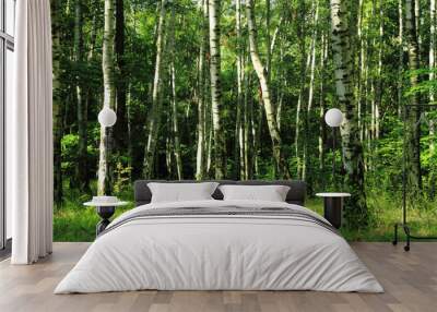 green dark forest Wall mural