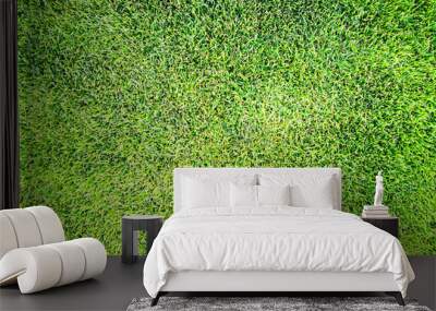 green grass texture Wall mural