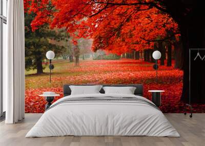 red autumn in the park Wall mural