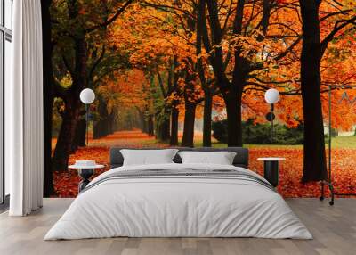 red autumn in the park Wall mural