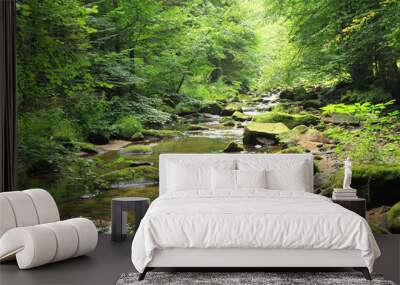 river in the green spring forest Wall mural