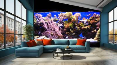 sea aquarium background Wall mural