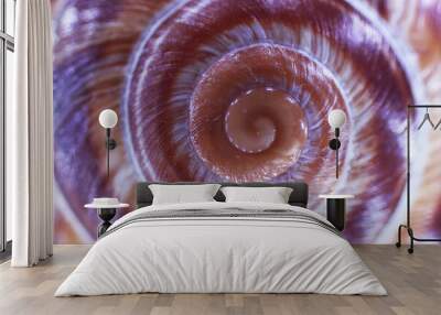 snail house texture Wall mural