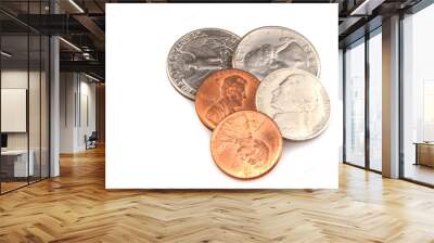 usa coins Wall mural