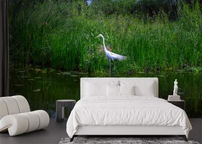 White Heron Amid Lush Greenery Along Xochimilco Canal: Serenity in Nature's Verdant Embrace Wall mural