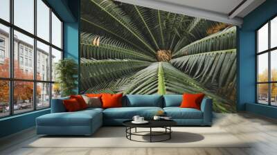 close up of palm Wall mural