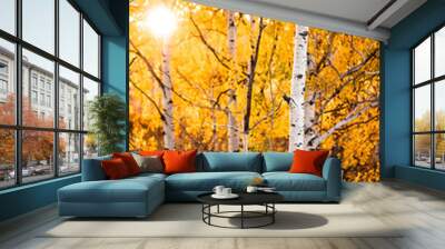 yellow aspen foliage  Wall mural