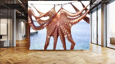 Octopus clean and ready to be cooked in a Mediterranean restaurant Wall mural