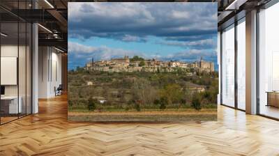 Vue panoramique du village de Lussan, Gard, France Wall mural