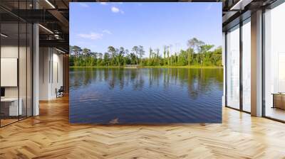 Landscape of the lake overlooking the forest Wall mural