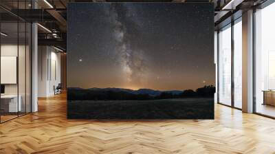 Made from 15 light frames (captured with a SONY camera) by Starry Landscape Stacker 1.6.2.  Algorithm: Median Wall mural