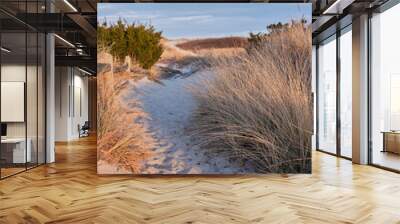 New Jersey's Island Beach State Park shows its true beauty in this dusk image of one of the many access points to the beach across the tall an protected sand dunes Wall mural