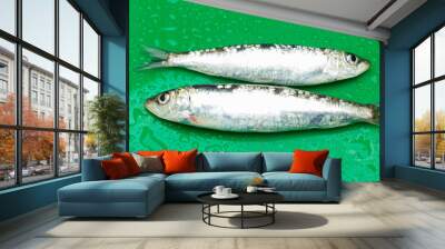 sardine is a healthy fish Wall mural