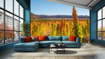 Colorful quinoa plantation in Bolivian highlands next to Uyuni salt flat (horizontal - 3) Wall mural