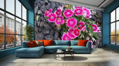 Flores  Wall mural