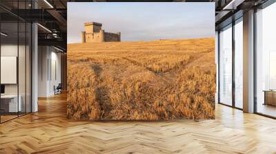 Villalonso medieval castle in the route of the castles in a sunny day, Castilla y León, Spain Wall mural