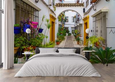 Picturesque alley of white houses with flowerpots, plants and flowers in the city of Cordoba, Spain. Wall mural