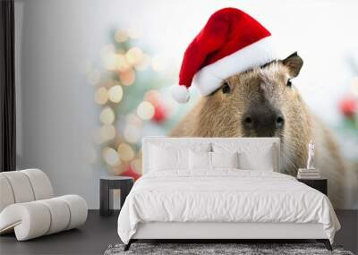 a capybara with santa claus hat smile with christmas background themes. Wall mural