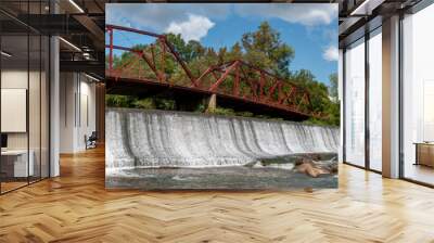 The dam and bridge at Glendale Shoals near Spartanburg, South Carolina Wall mural