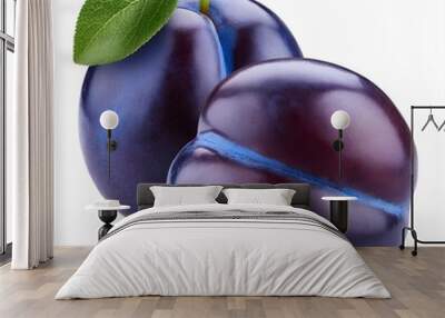 two blue plums isolated on white background Wall mural