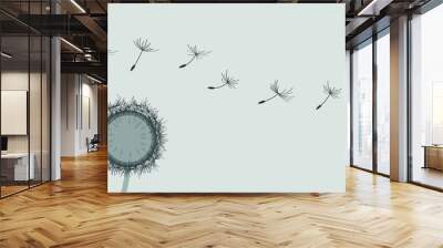 panorama_two anthracite-colored dandelions with seeds by jziprian Wall mural