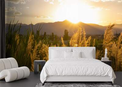 Beautiful Utah sunset behind suburb  Wall mural