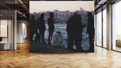 view of istanbul and fishermen Wall mural